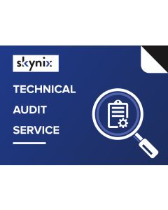Technical Audit Service